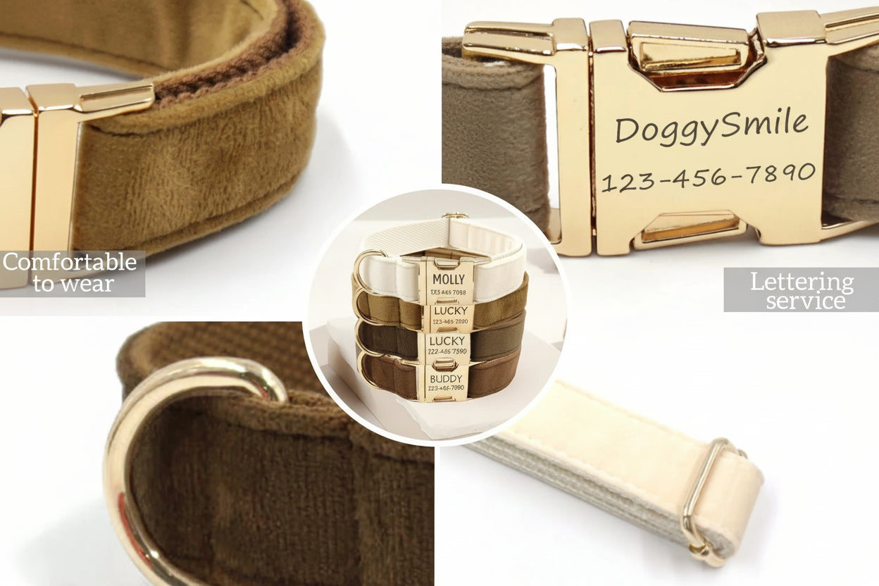 DoggySmile™ Luxury Personalized Velvet Collar 🐕