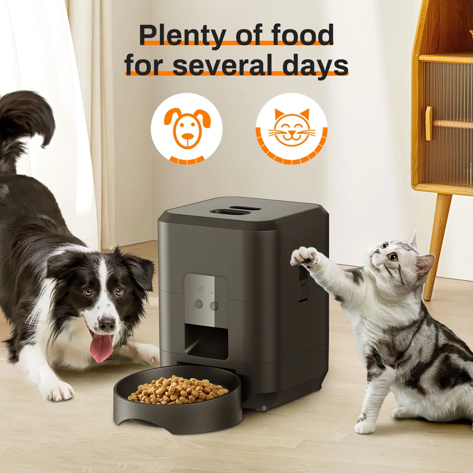 🍽️ DoggySmile™ Smart Auto Pet Feeder