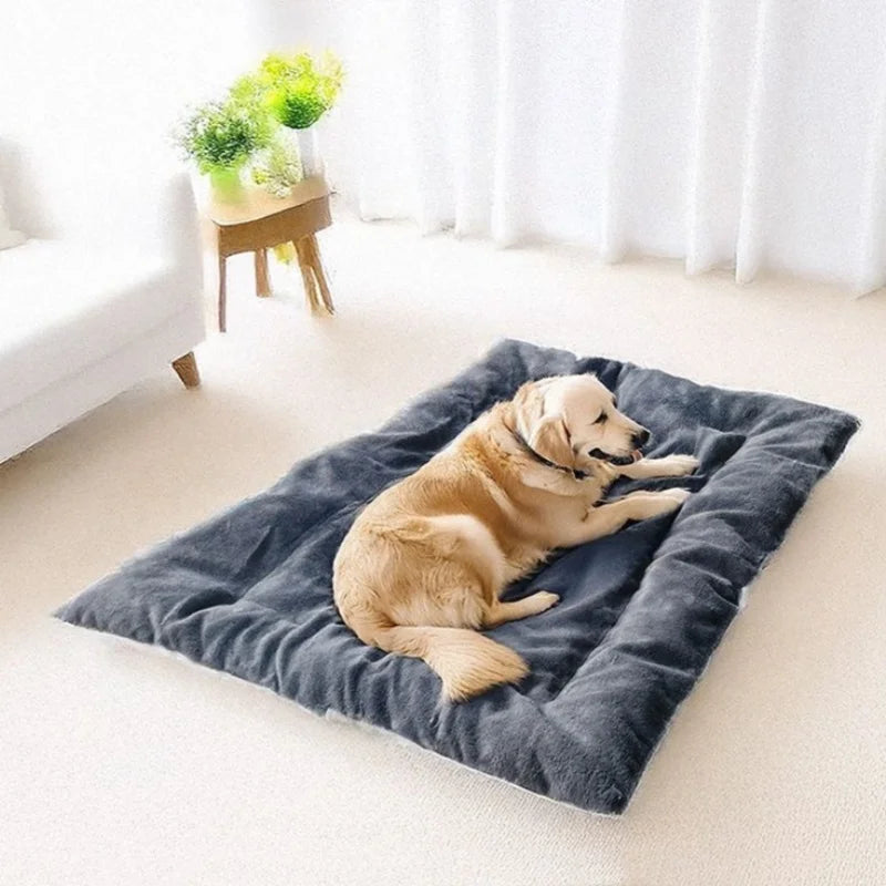 DoggySmile™ Premium Ultra-Plush Orthopedic Sofa Bed 🛋️