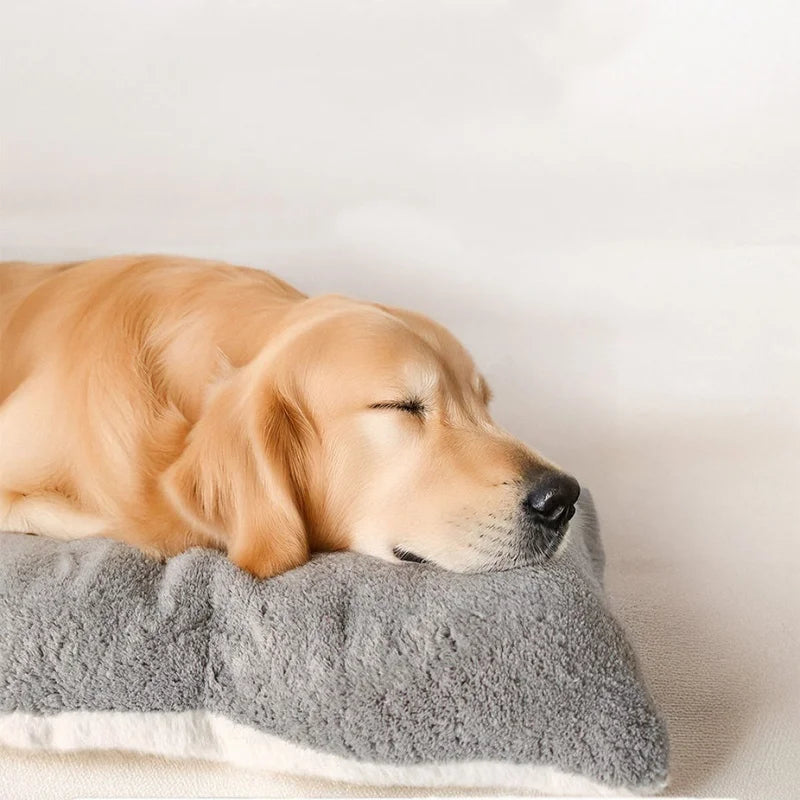 DoggySmile™ Premium Ultra-Plush Orthopedic Sofa Bed 🛋️