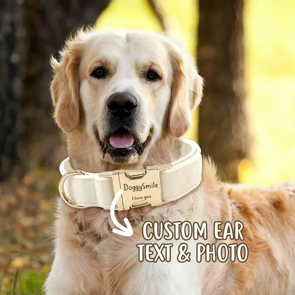 DoggySmile™ Luxury Personalized Velvet Collar 🐕